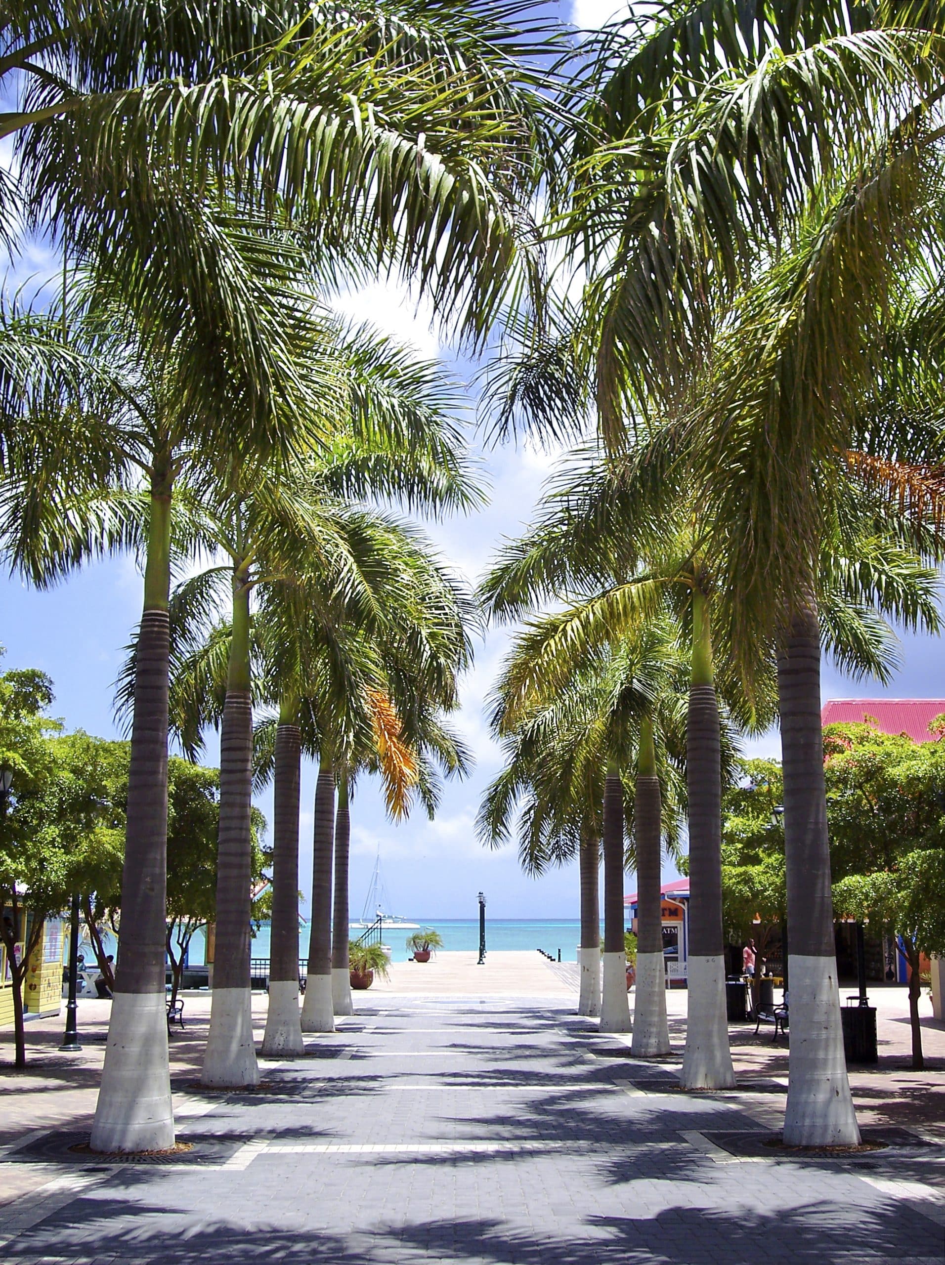 Vacances à Bonaire : Comprendre les implications de la taxe de séjour sur votre séjour