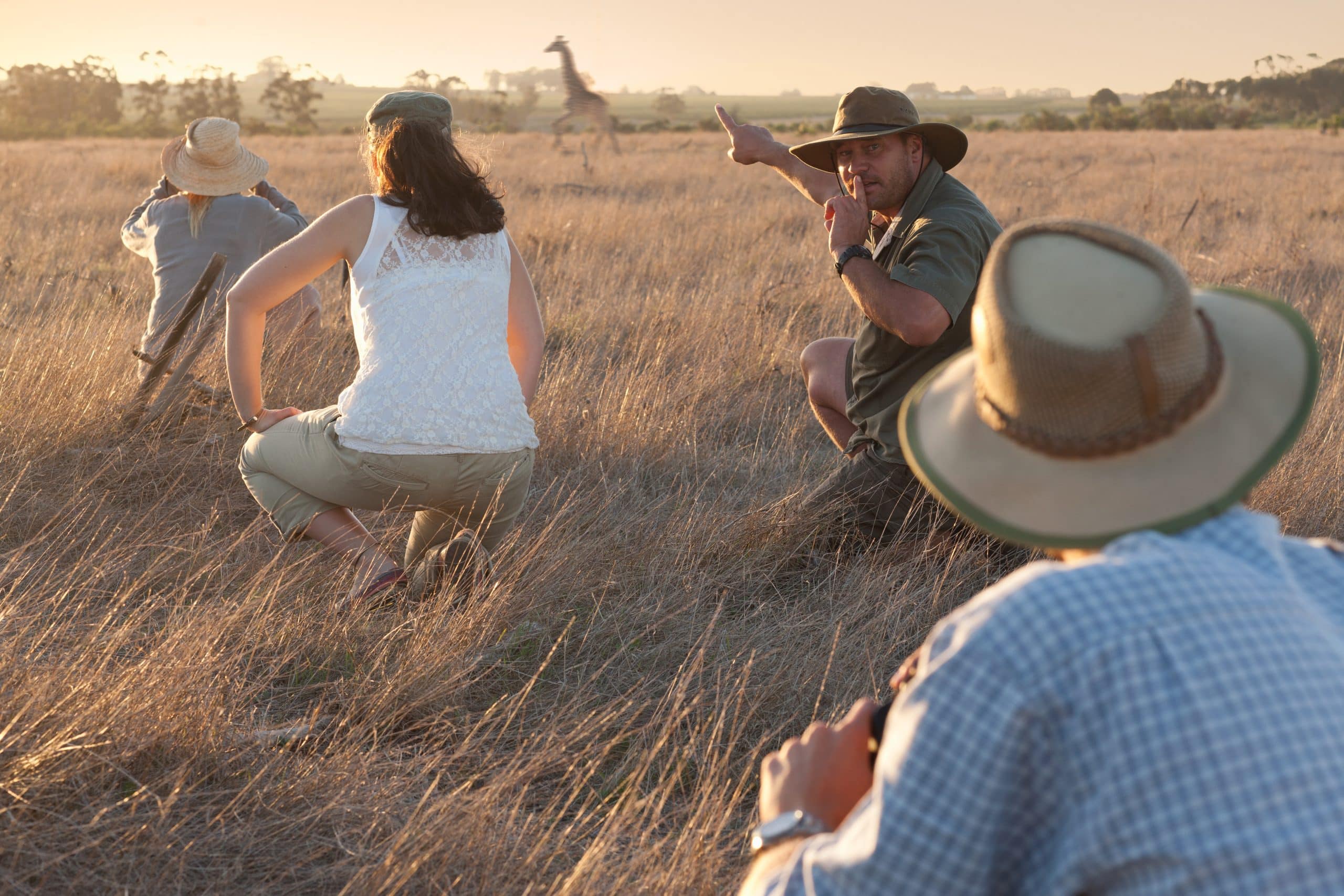 Comment réaliser un safari photo en Tanzanie ?